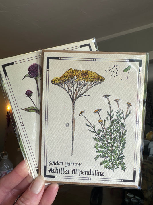 2 Floral Notecards- 2 for $5