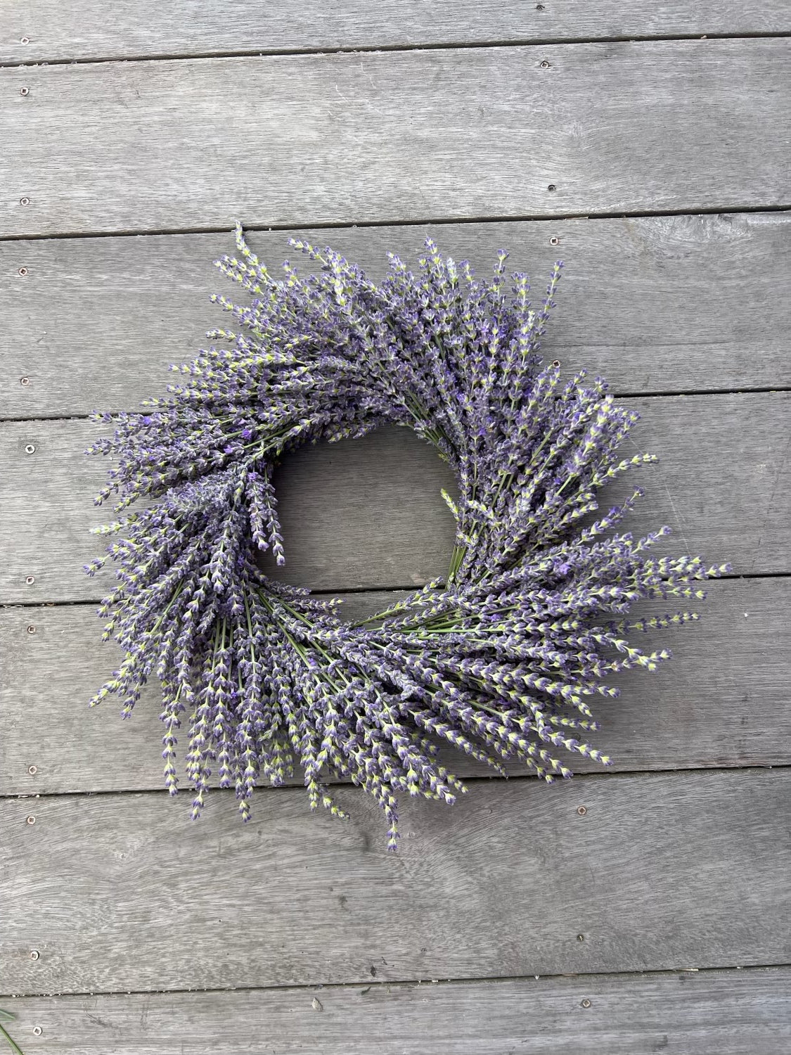 Lavender Wreath Class